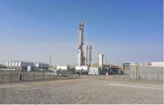 ultimo caso aziendale circa Generatori del gas per la pianta di LNG