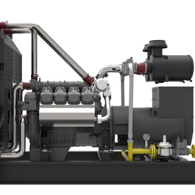 300KW Natural Gas Generator LPG Biogas Gas Electricity Generator
